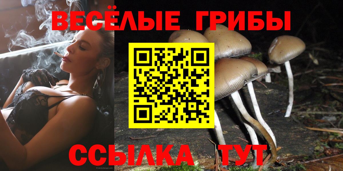 Елец  Галлюциногенные грибы мухоморы  Вход с VPN 