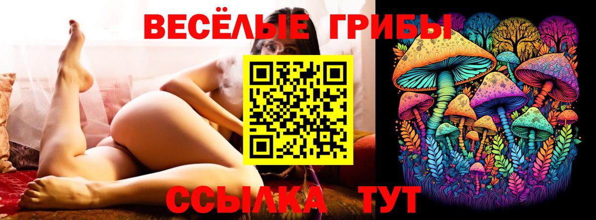 Галлюциногенные грибы ЛСД Елец